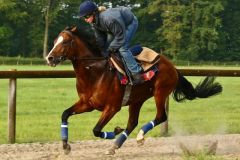 Vorschau Longchamp 10. September 2014