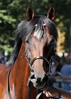 Walsingham am 29.7.2018 in München - Foto: Dr. Jens Fuchs