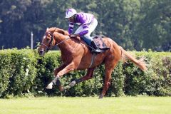 Ein Fünf-Längen-Sieg für Whizz Kid mit Eduardo Pedroza in Hoppegarten über 2.200m, aber keine Derbynennung. www.galoppfoto.de - Sabine Brose