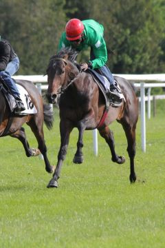 Wild Hunter Breeze up Mai 2012  Foto: www.Rennstall-Woehler.de