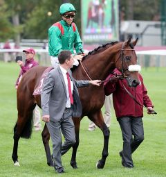 Zarak am 1.10.2017 in Chantilly - Foto: Dr. Jens Fuchs