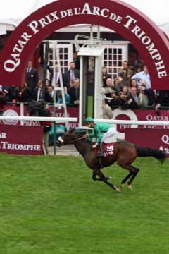 Zarkava mit Christophe Soumillon gewinnt den  87. Qatar Prix de L'Arc de Triomphe. www.galoppfoto.de