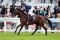 Air Force Blue beim Aufgalopp in Royal Ascot. www.galoppfoto.de - Frank Sorge