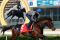 Tokei Halo mit Jockey Yutaka Take bei der Morgenarbeit in Hongkong. Foto: www.galoppfoto.de - Frank Sorge