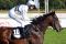 Desert Dream mit Koen Clijmans beim Aufgalopp am 21.08.2016 in Hannover. www.galoppfoto.de - Sabine Brose