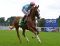 Fair Eva - Frankels erste Gruppesiegerin - mit Frankie Dettori in den Princess Margaret Juddmonte Stakes in Ascot, Gr. III. Foto: John James Clark