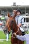 Happy über den ersten großen Treffer beim Derby-Meeting 2015: Jockey Adrie de Vries auf Odeliz. www.galoppfoto.de - Frank Sorge