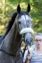 Princess Zoe 2018 in Hoppegarten im Portrait. ©galoppfoto.de - Sabine Brose