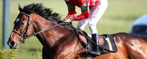 Lacento 2019-04-07 Hoppegarten  Foto Rühl