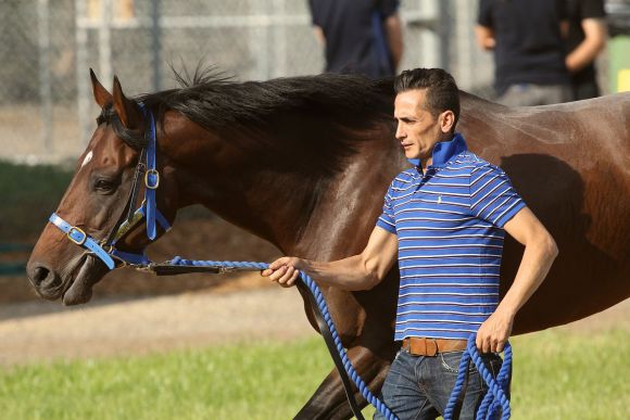 Protectionist 2014-09-27  Ankunft in Melbourne  Foto: Victoria Racing