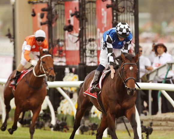 Protectionist 2014-11-004 Melbourne Cup  Foto: Victoria Racing