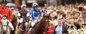 Protectionist 2014-11-04 Melbourne Cup  Foto: Victoria Racing