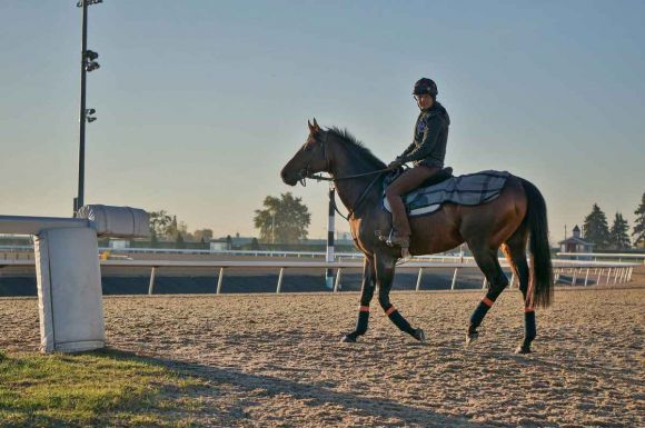 Protectionist 2016-10 in Woodbine