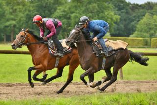 Royal Shaheen (li) hier mit Double Dream