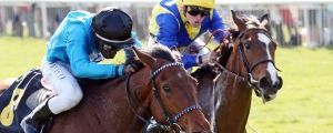 Shining Pass 2019-04-07 Hoppegarten  galoppfoto.de