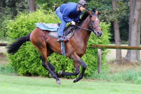 Protectionist 2012 August